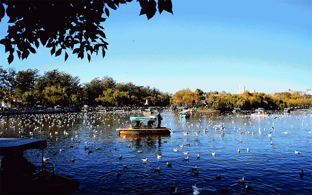 壁纸 风景 摄影 桌面 640_400 gif 动态图 动图