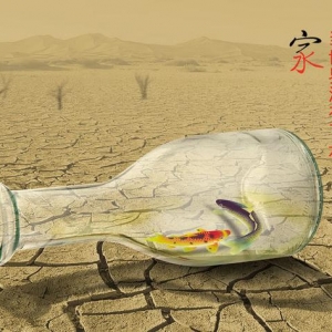 繫Ʒ