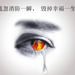 2015㽭ʡȫ洴