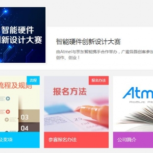 Atmel&ӲPK