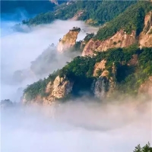 ,ɽ屦-2015㵴ɽʹ԰־Ըļ(ƿ,ڳסȫȵ ...