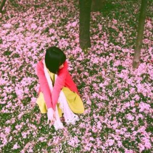 2015ȫѧʫ