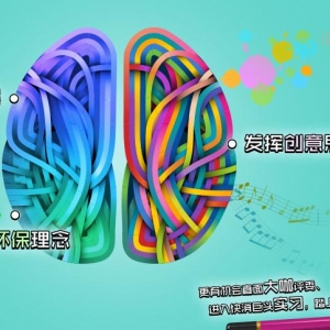 ͶȤ깫ʵ