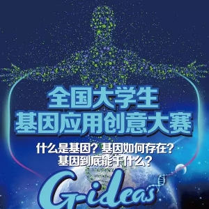 2016ȫѧӦô