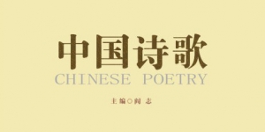 йʫ衷2017ꡰѧʫרš