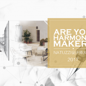 ǻ һҵķ羰 2017Natuzziƴ