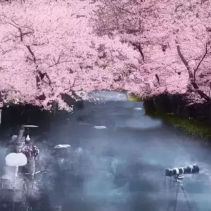 ʱ ഺΡʮȫѧӣʫ