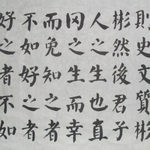 鷨Ʒչ