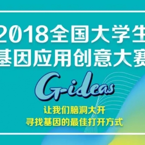 2018ȫѧӦô