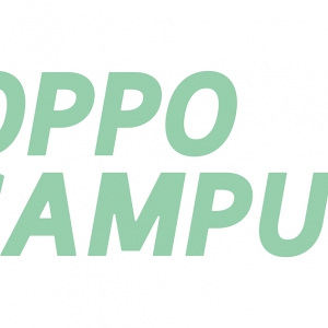 Ԫټƻ | OPPOУ԰xҰС£ıԼһ