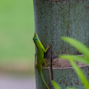 2019ڶȫУƽ