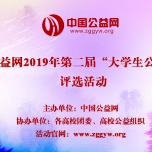 2019ڶ조ѧ֮ǡ ѡ