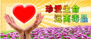 ʡ