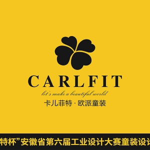CARLFITʡ칤ҵƴͯװר