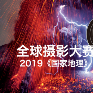 2019ҵȫӰй