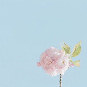 2019ɽʡѧý