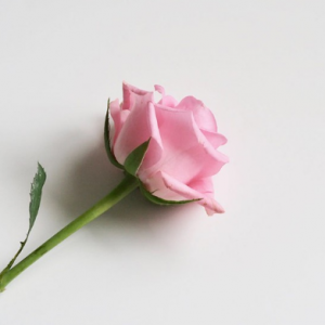 ʾܻ۬BϺ鷨 񽱡չʾ