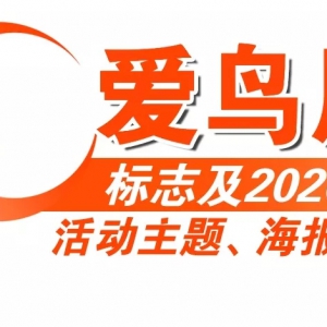 ܡʶ2020⡢