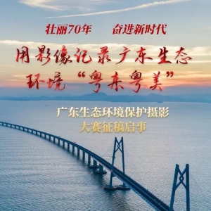 㶫̬Ӱ