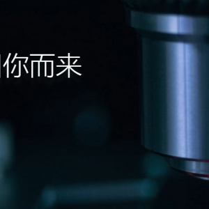 ǿй2020У