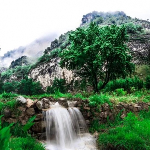 Դȫѧ