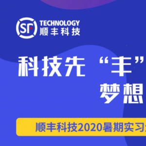 ˳Ƽ | 2020ʵϰƸ
