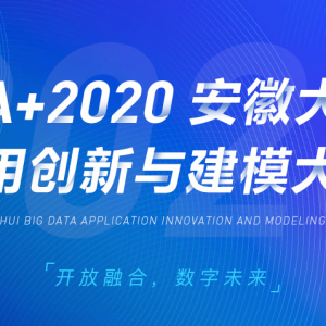 ׽Data+2020մӦô뽨ģ