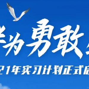 2021껪Ϊ¸ʵϰƻʽ