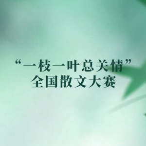 һ֦һҶܹ顱ȫɢĴ