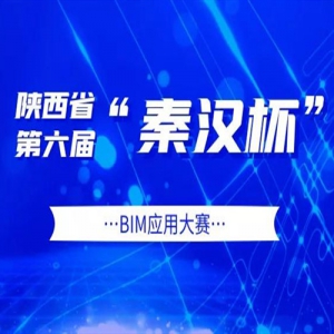ʡ조غBIMӦô
