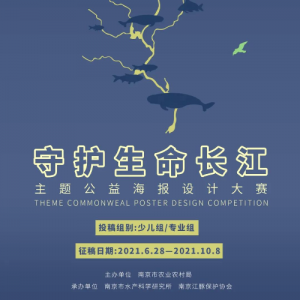 ػ溣ƴ