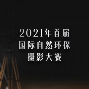 2021׽ȻӰ