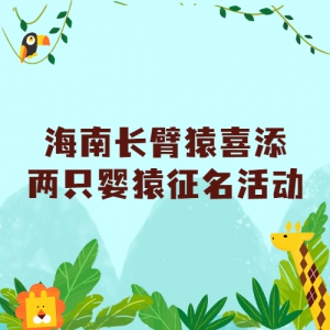 ϳԳϲֻӤԳ