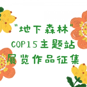 ɭ֡COP15վչƷ