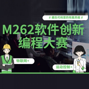 ڴȤꡪM262±̴