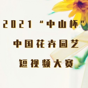 2021ɽй԰նƵ
