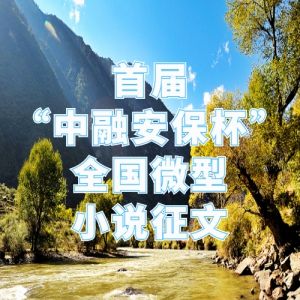 ׽조ڰȫ΢С˵