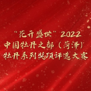 ʢ2022йĵ֮ĵ鷨ӰĴ