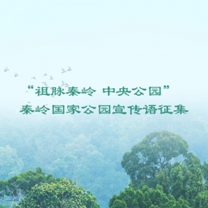  빫԰ҹ԰