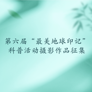 조ӡǡջӰƷ