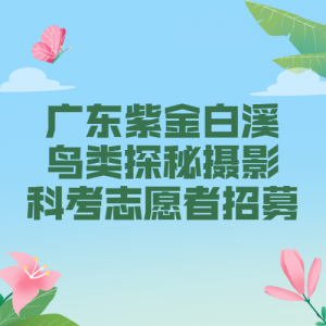 ʳްͨз񽱽𡿹㶫ϽϪ̽Ӱƿ־Ըļ