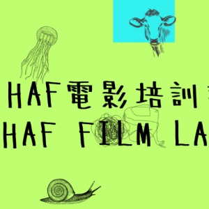 HAFӰѵƻ