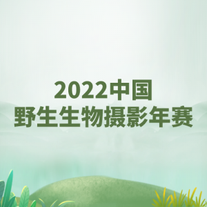 2022йҰӰ
