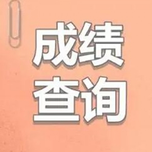 ӢɼѯѧӢﾺɼѯ
