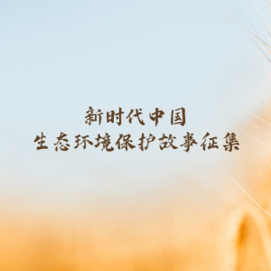 ʱй̬¡