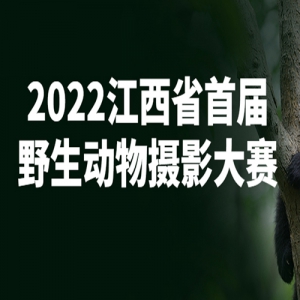 2022ʡ׽ҰӰ