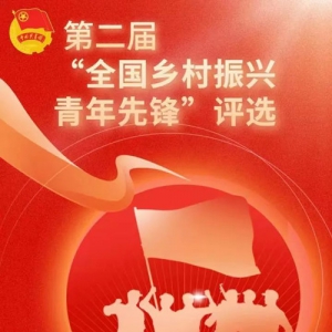 ڶ조ȫȷ桱ѡ