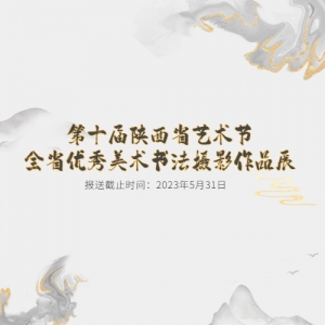 ʮʡȫʡ鷨ӰƷչ
