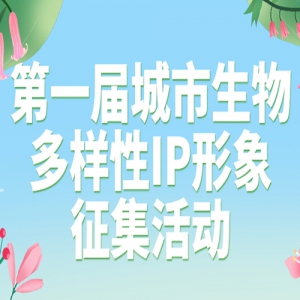 һIP
