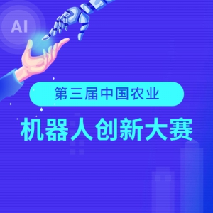 조йũҵ˴´